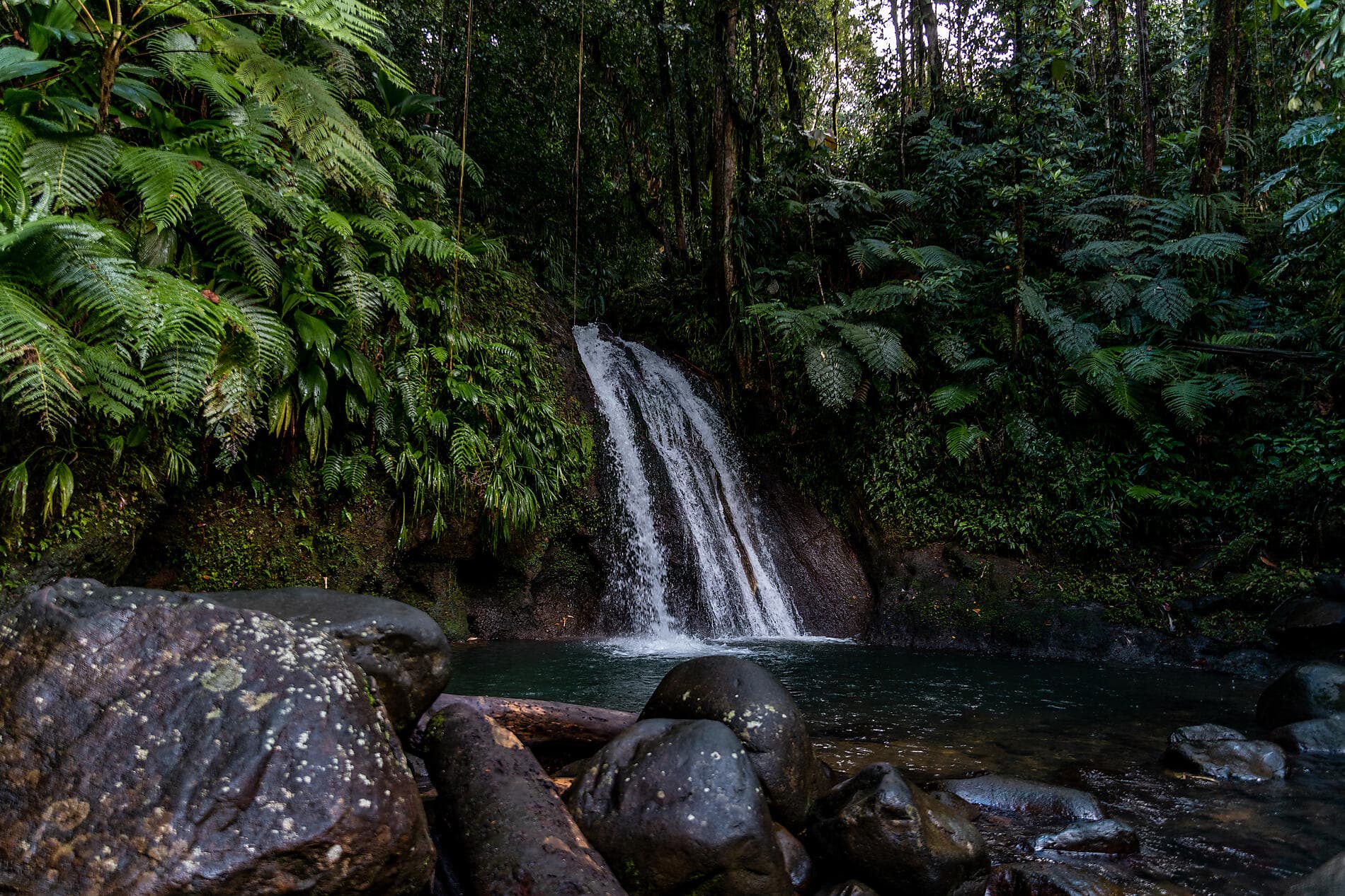 Secret treasures of the Lesser Antilles 