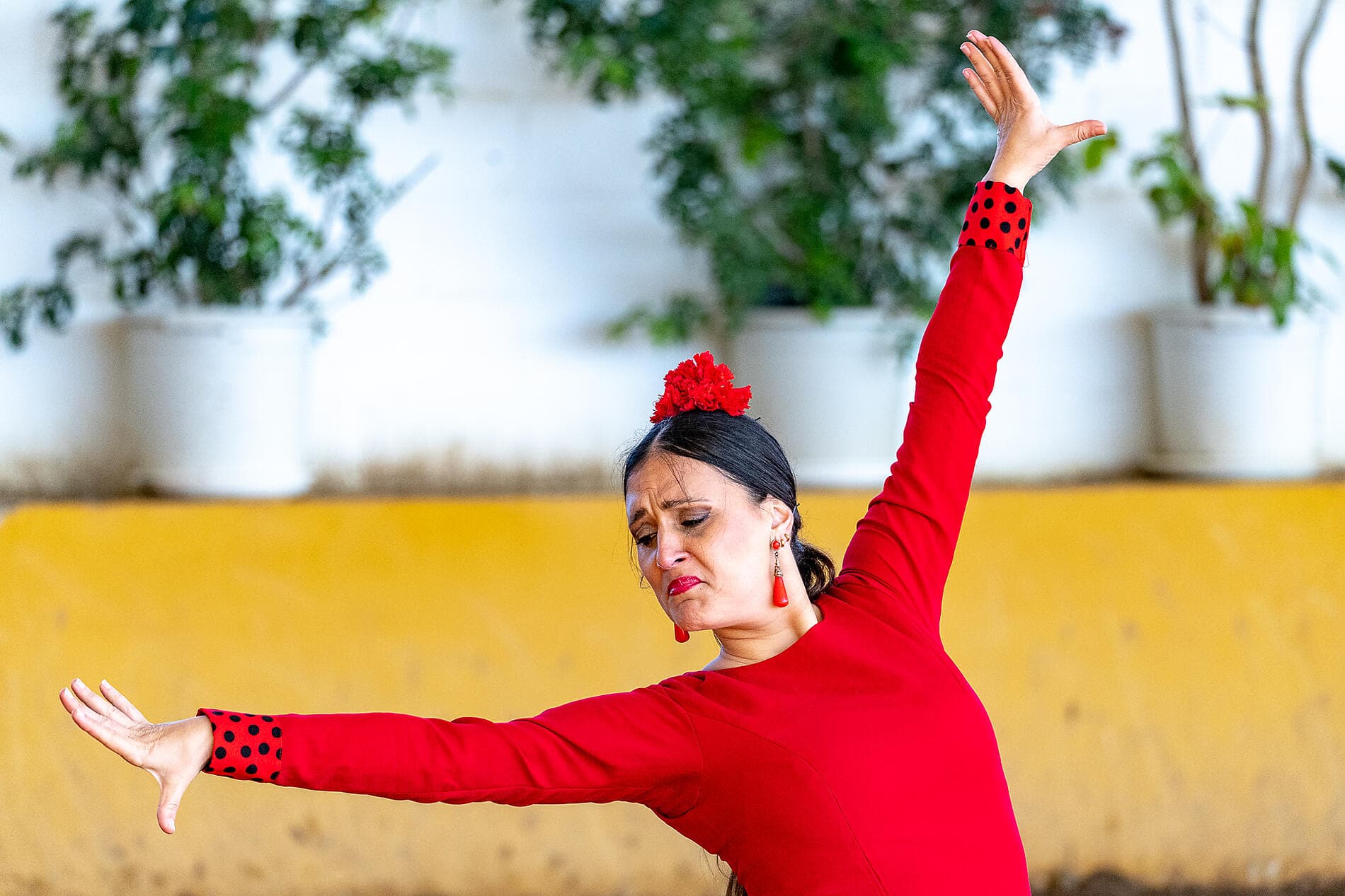 Andalusia and Moroccan shores  