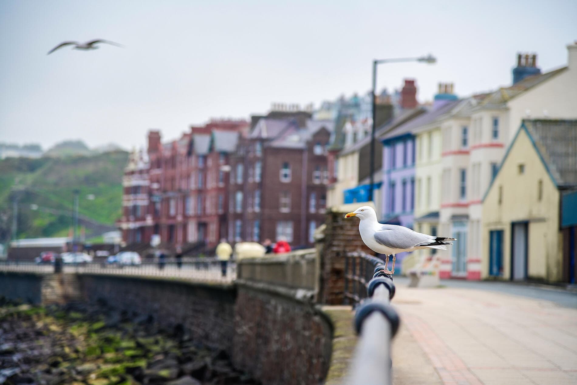From Ireland to Scotland: A Journey through Celtic Lands