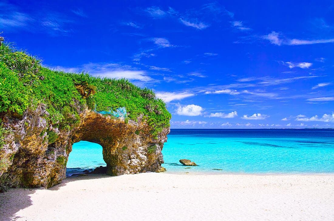 Odyssey in the heart of Japan’s subtropical islands
