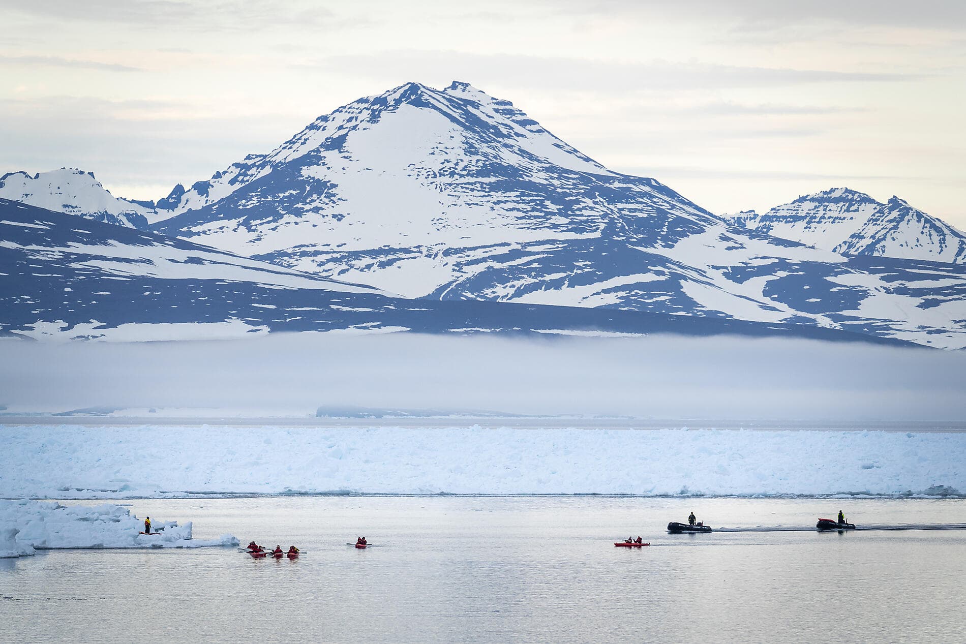 Northeast Greenland's unexplored sea ice