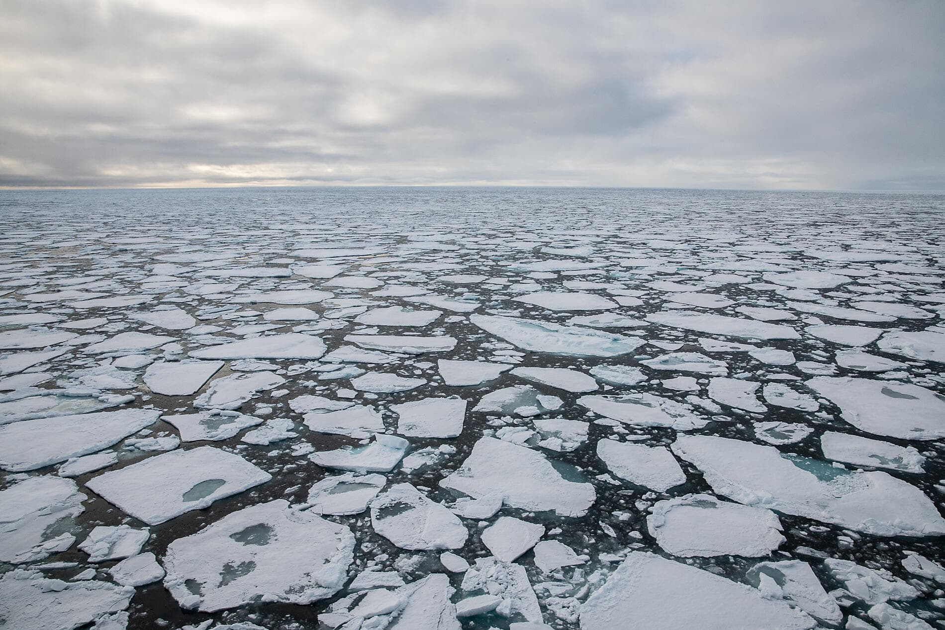 The Geographic North Pole and exploration of northern Greenland