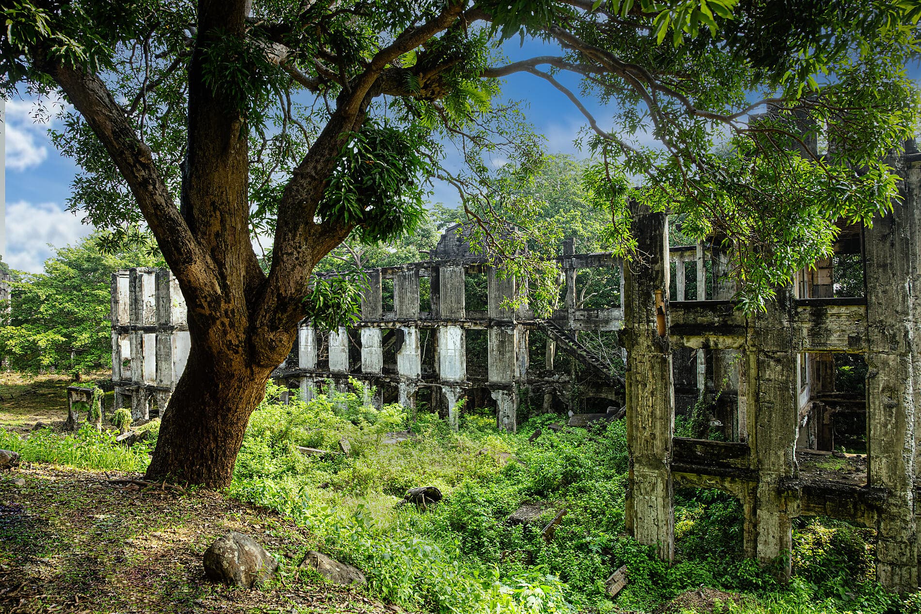 Nature and heritage from the Philippines to Taiwan 