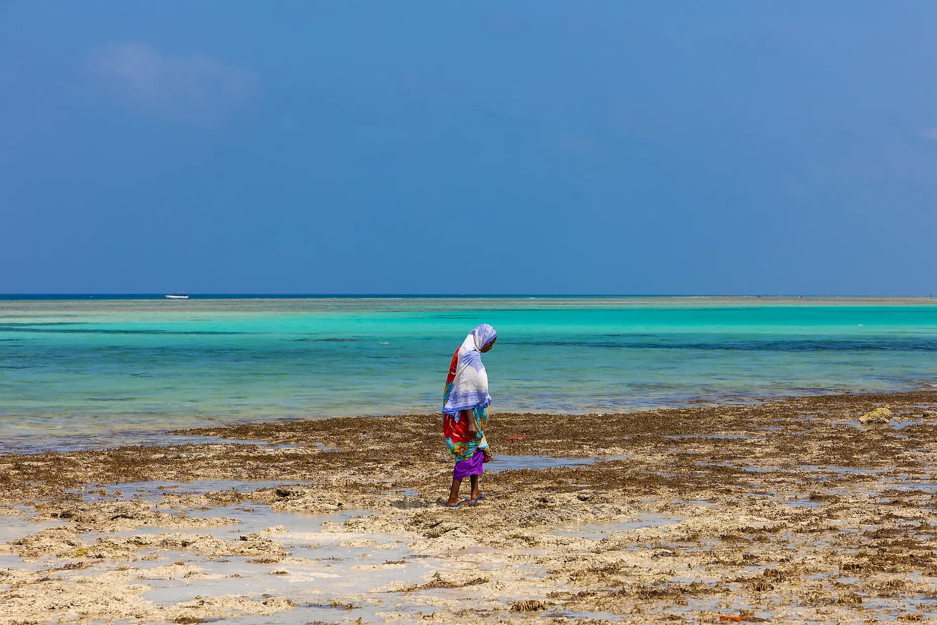 Madagascar, Zanzibar and the jewels of the Indian Ocean 