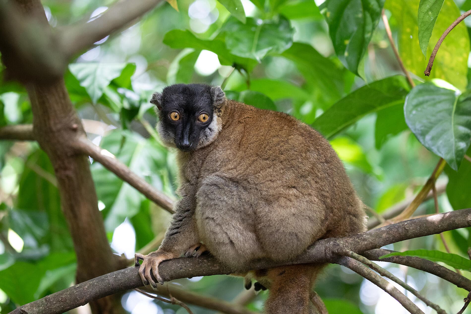 Little-known Madagascar 