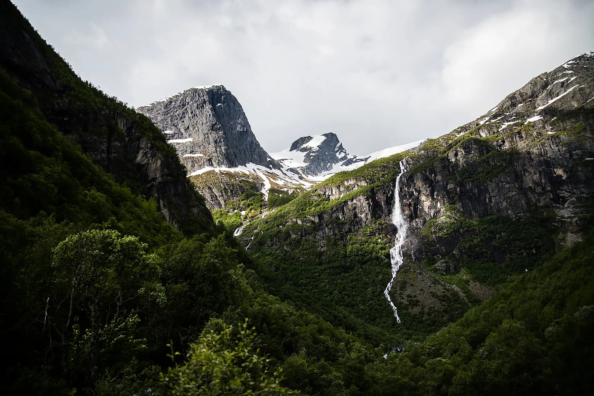 Gastronomic Journey Through Norwegian Fjords 