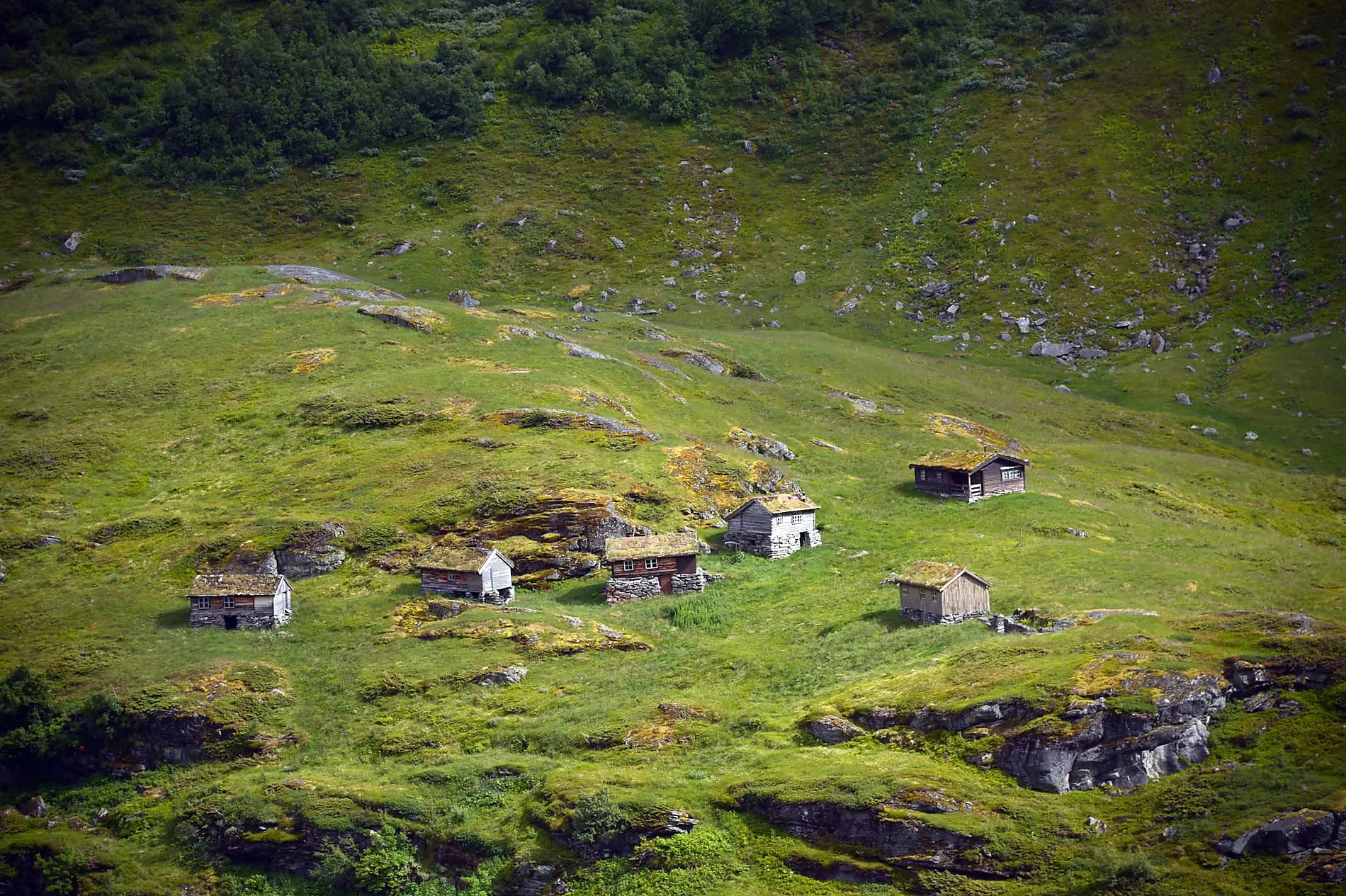 Gastronomic Journey Through Norwegian Fjords 