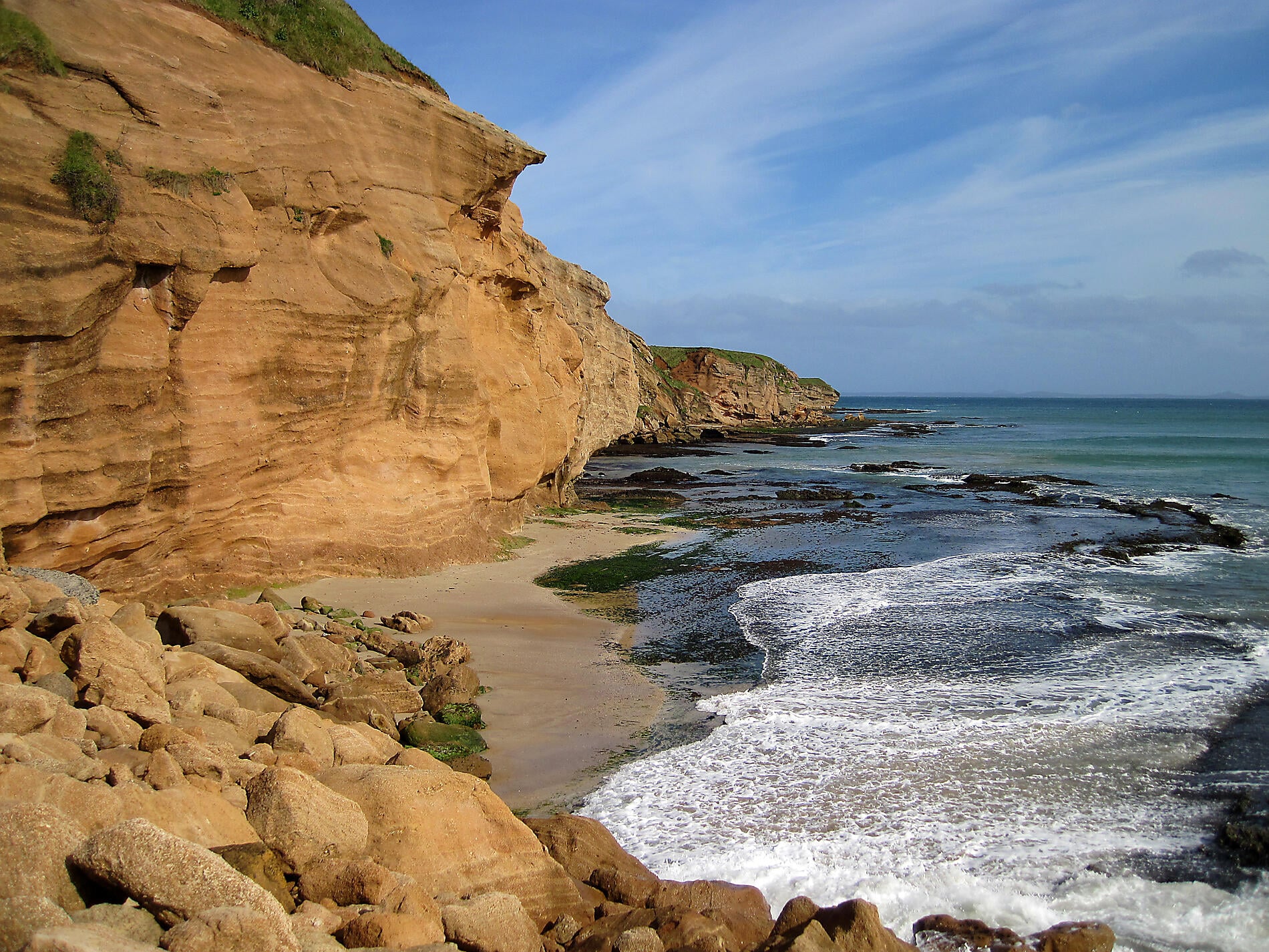 Chatham Island, NZ Subantarctic Islands © Mick Fogg.JPG