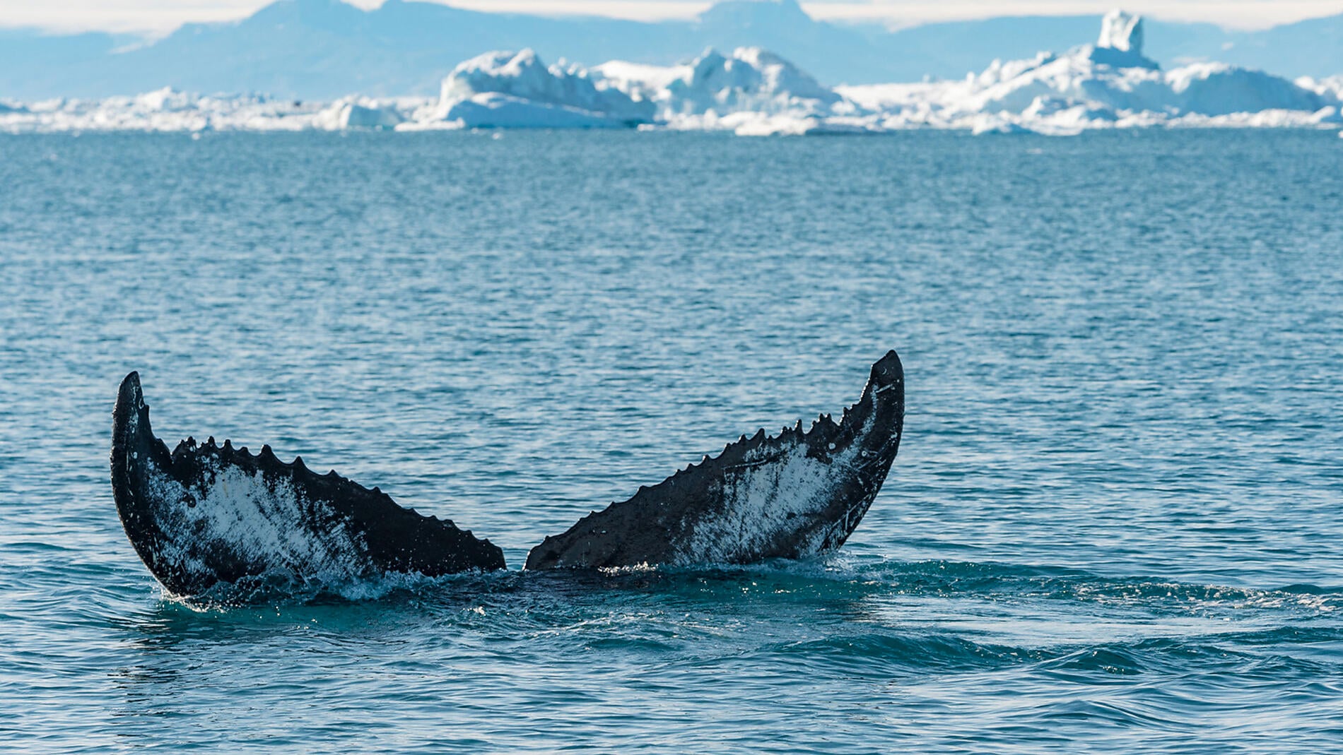 In the heart of the Northwest Passage In the heart of the Northwest Passage