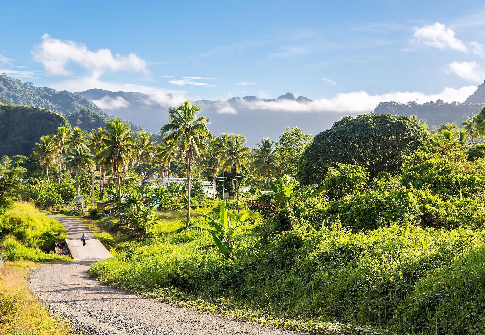 Adobestock_Levuka_238965350.jpeg