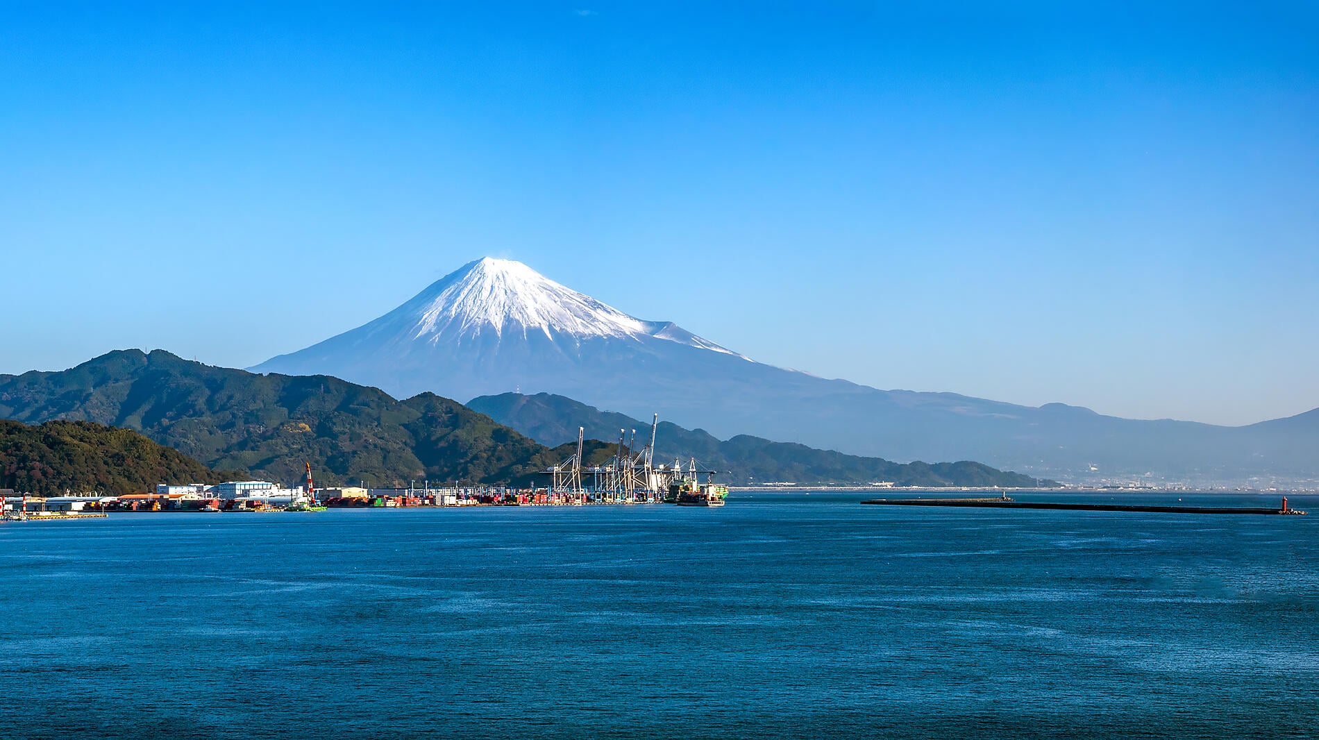 Shimizu_AdobeStock_1851692940.jpeg