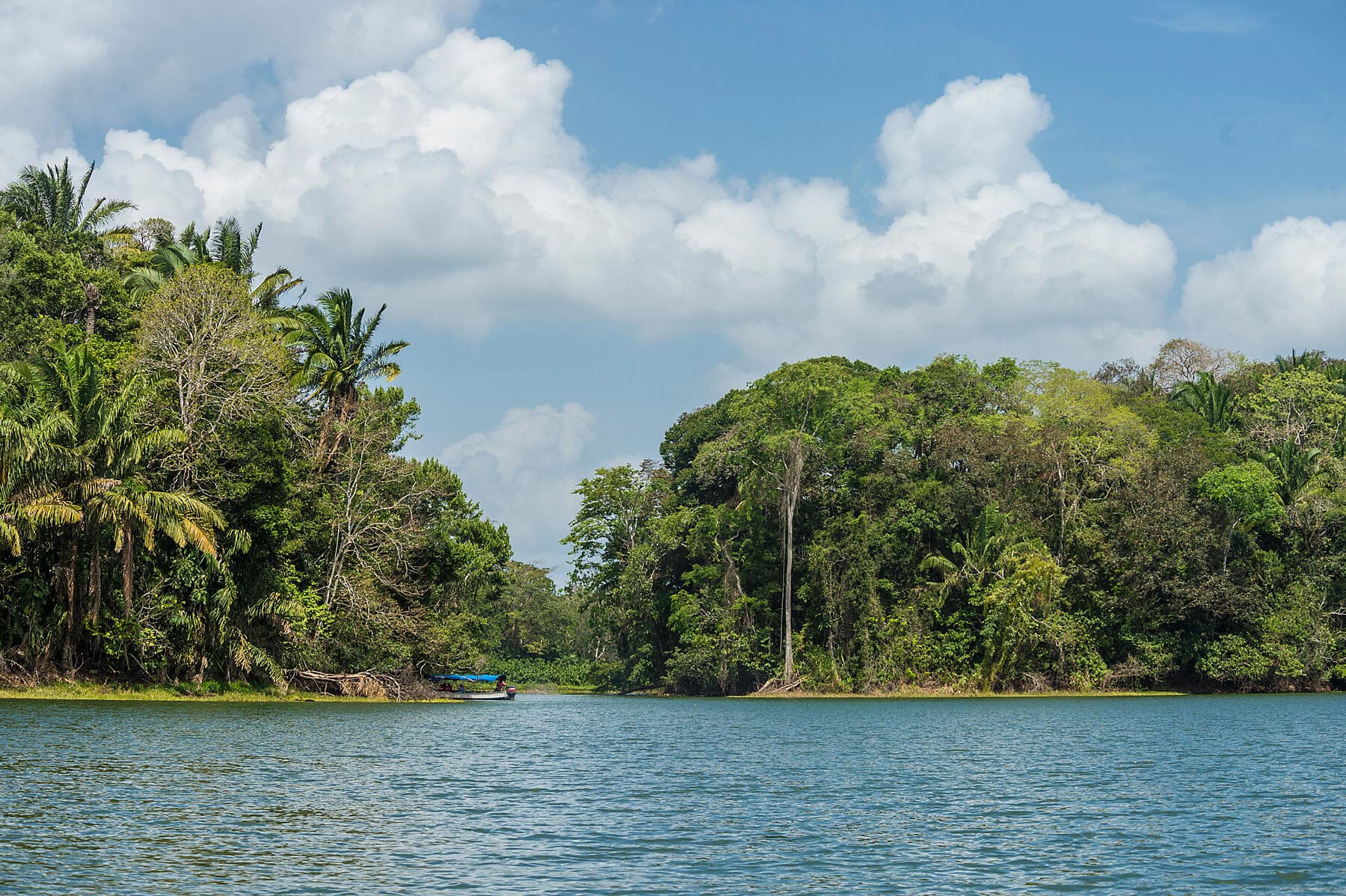 From Panama’s wild beauty to Peruvian shores