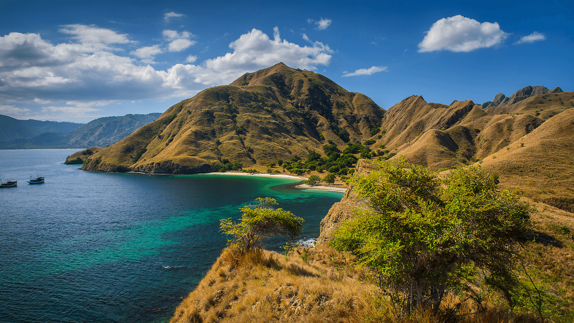 Tropical Indonesian Odyssey Tropical Indonesian Odyssey