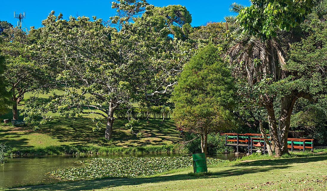 DISCOVER DURBAN (1 NIGHT)