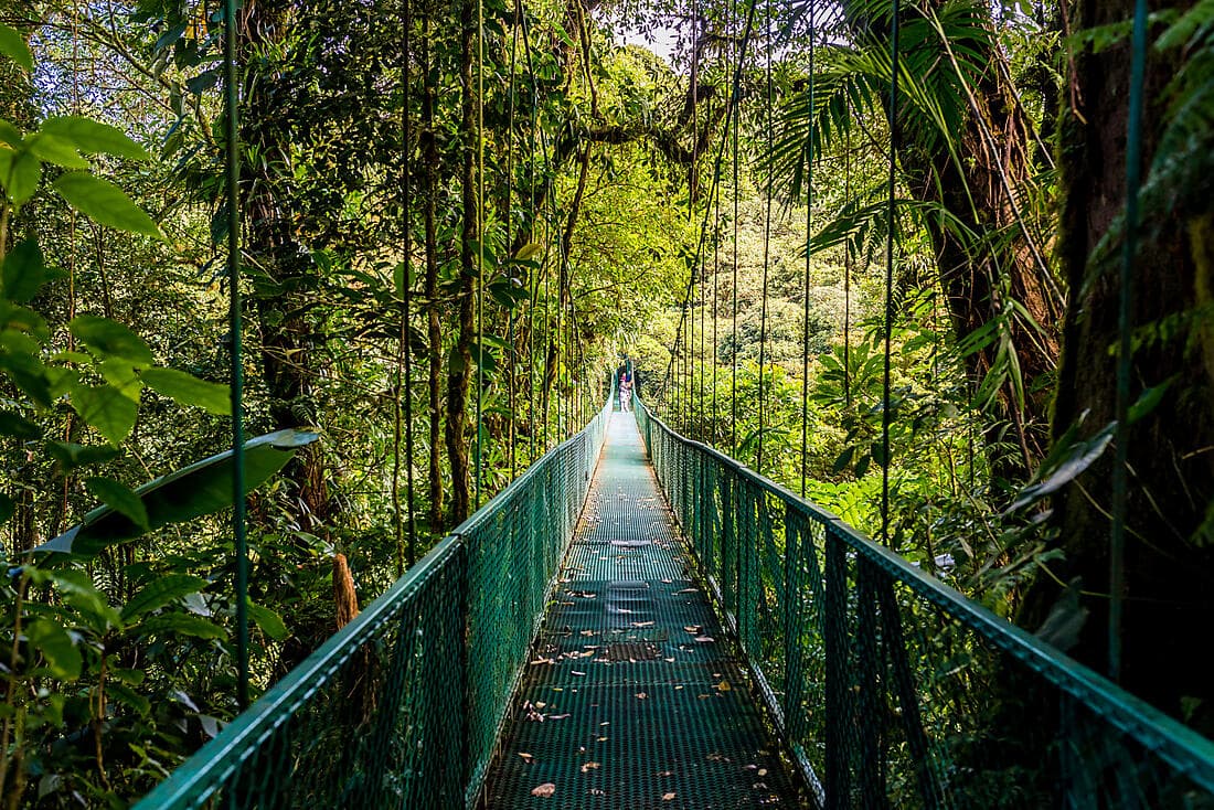 Costa Rica: Monteverde & Arenal (4 NIGHTS)