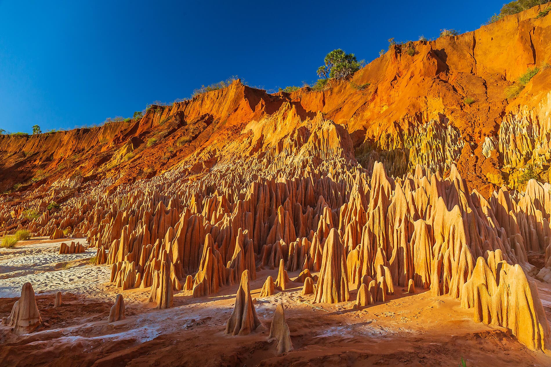 From Madagascar to the Seychelles, unsuspected Islands