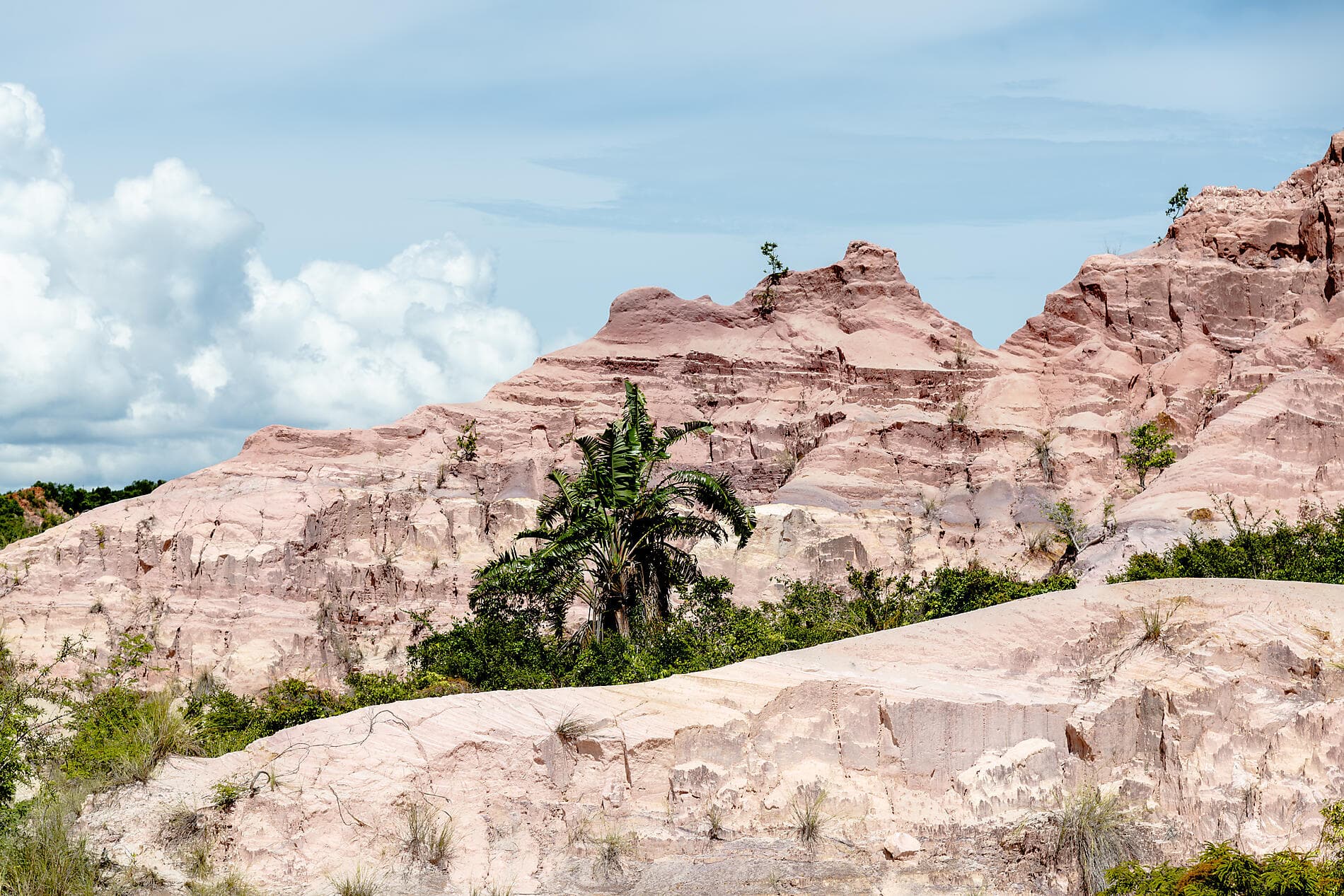Madagascar & South Africa