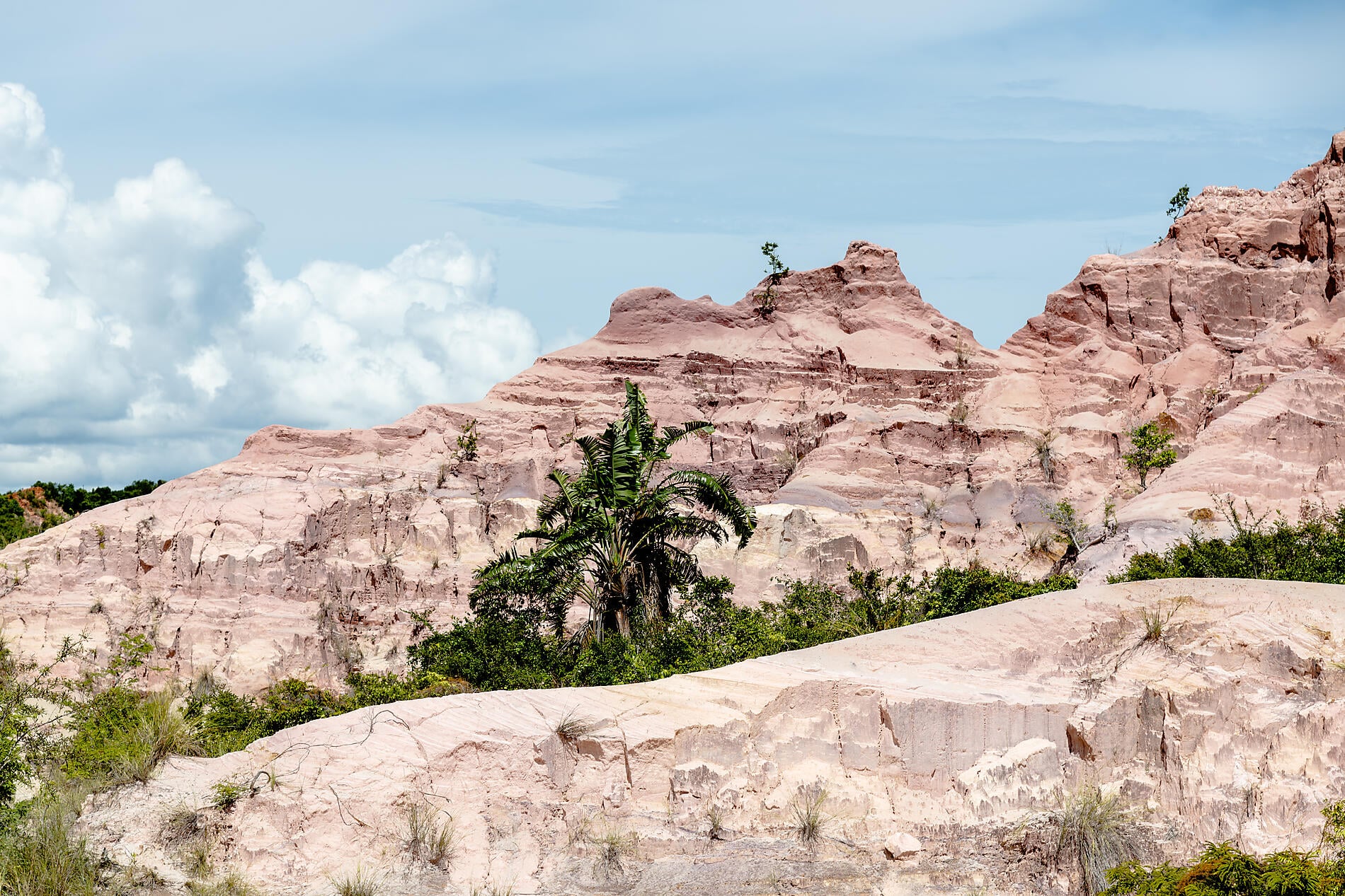 Madagascar & South Africa Madagascar & South Africa