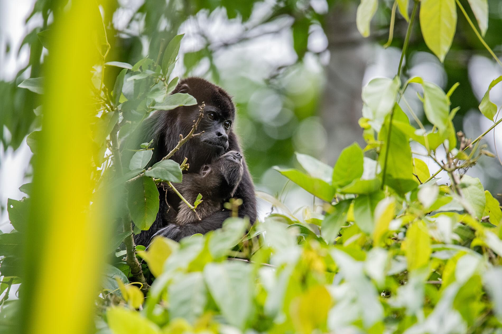 Pacific Coast of Costa Rica