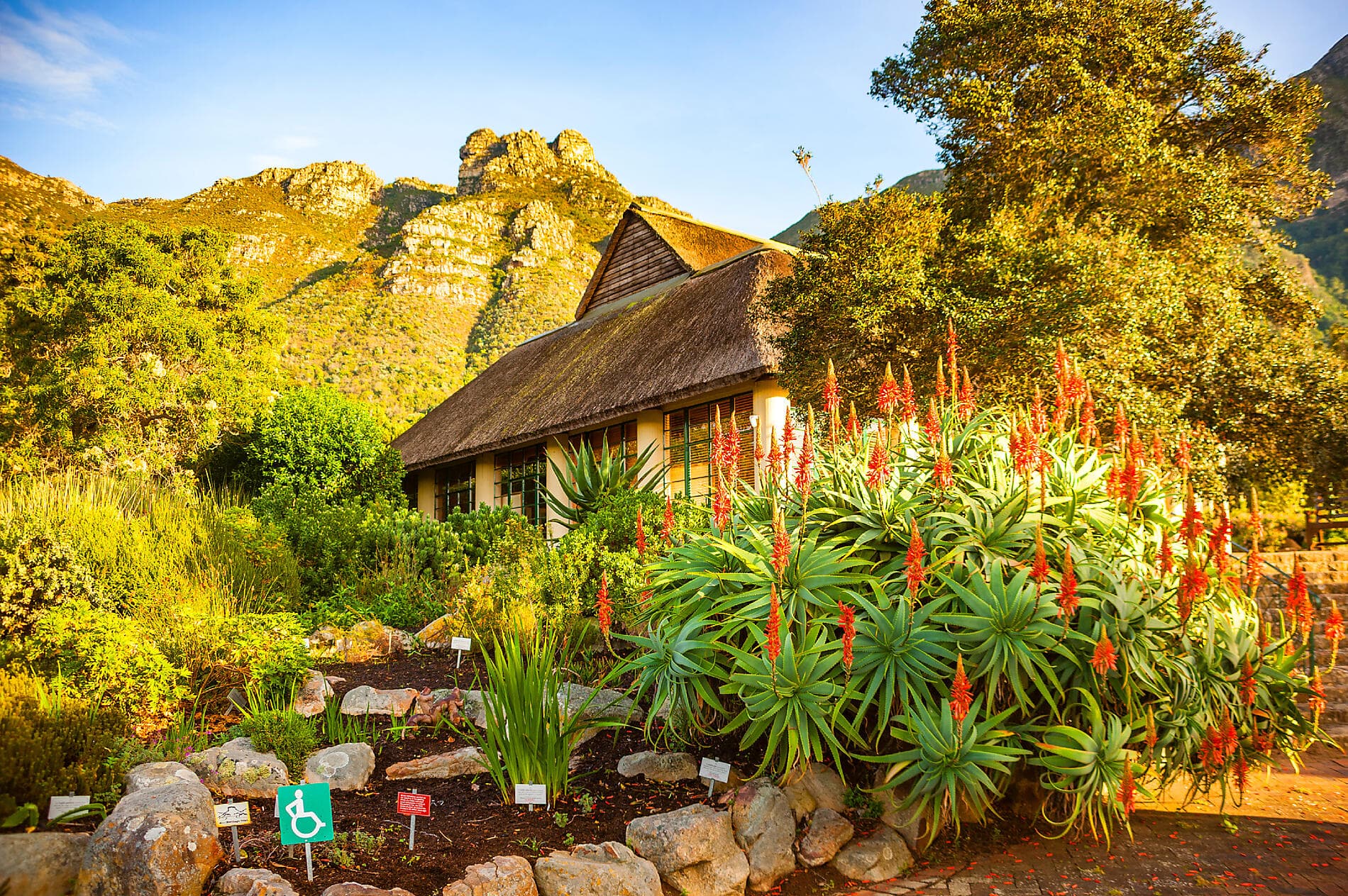 South Africa and Namibia by Sea: Around the Cape of Good Hope – with Smithsonian Journeys