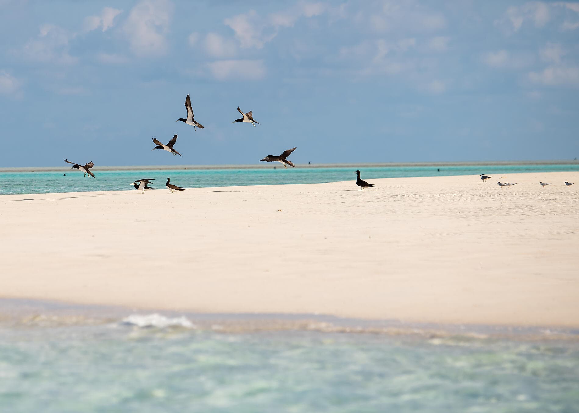 Australia's Iconic Kimberley