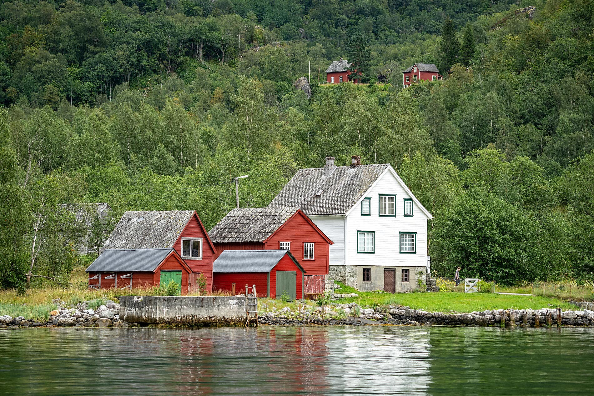 Norwegian Fjords