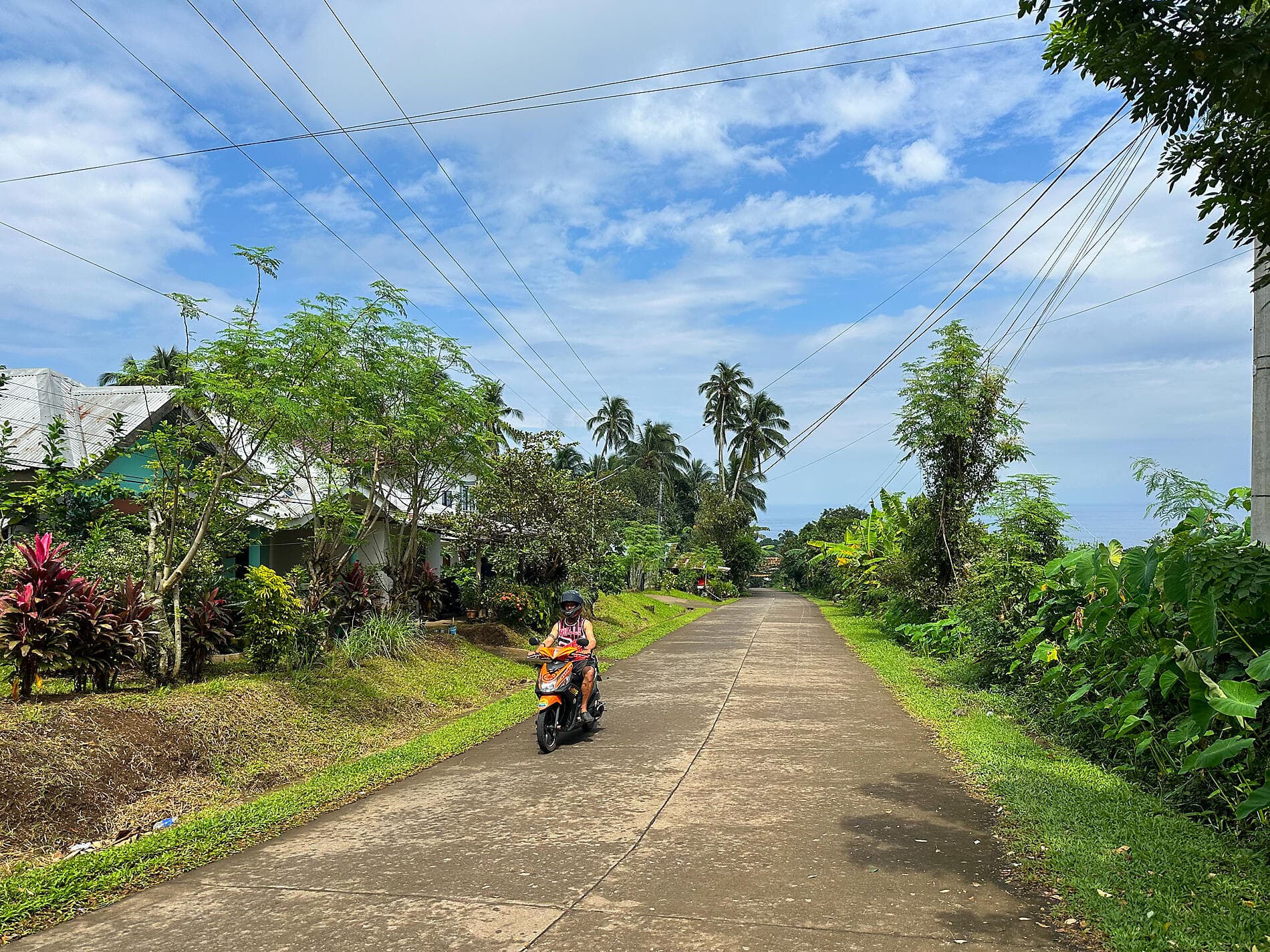 Wild islands and Philippine horizons
