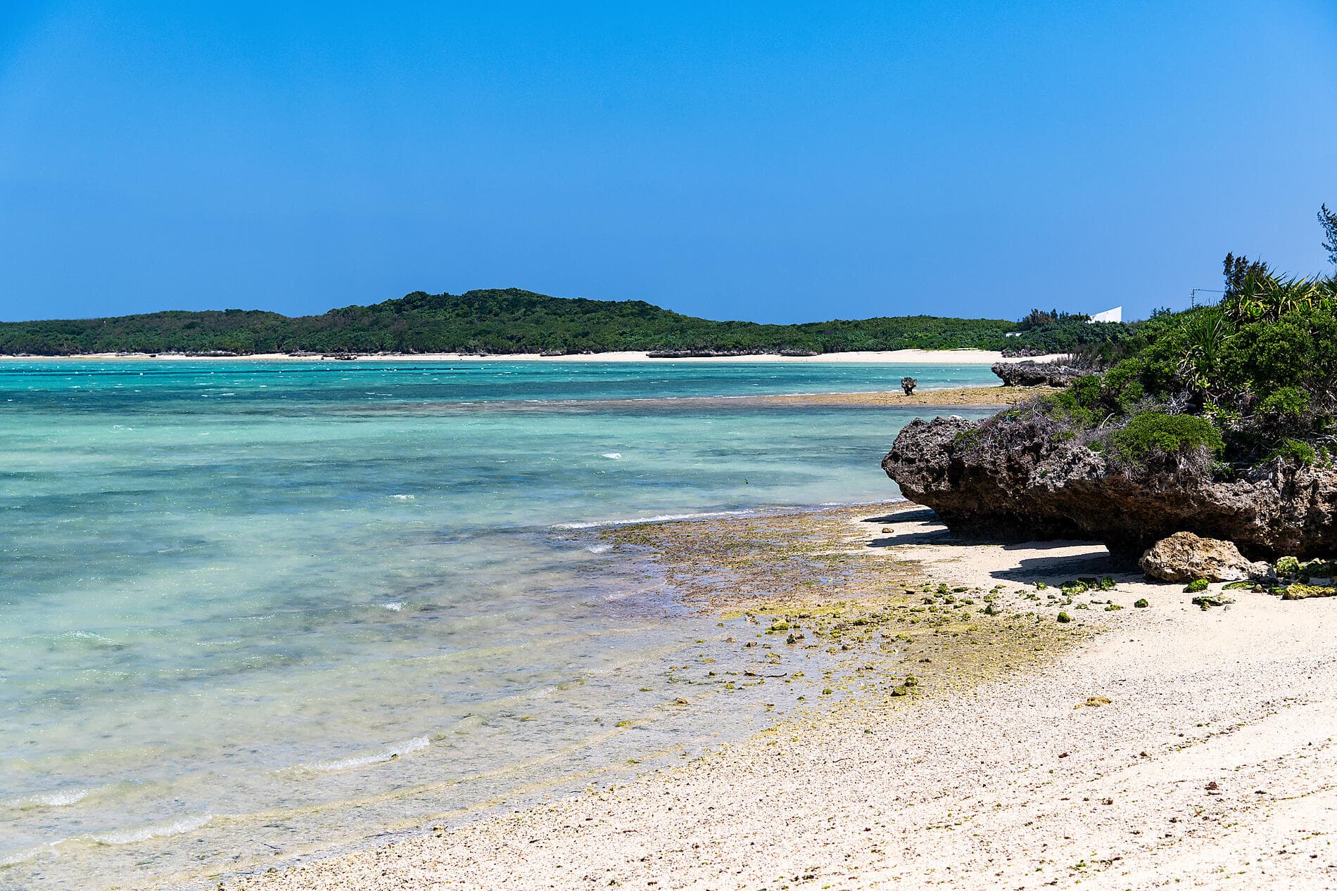 Filipino treasures and Japanese serenity
