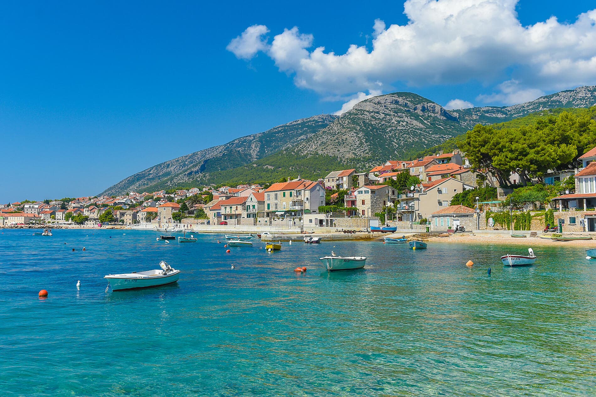 Cities and splendours of the Adriatic
