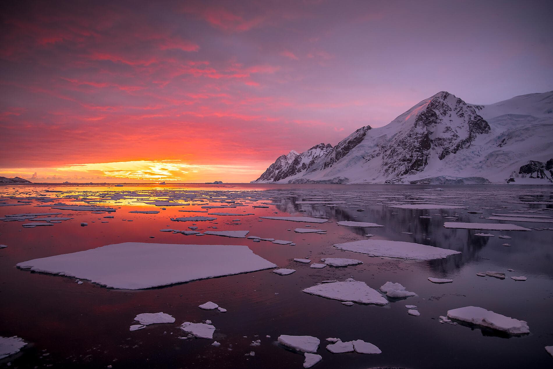 Beyond the Antarctic Circle – In the Wake of Jean-Baptiste Charcot