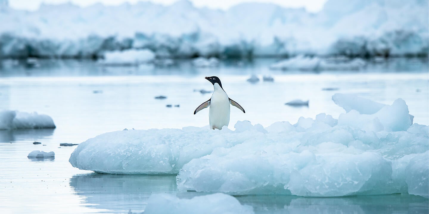 Emblematic Antarctica Emblematic Antarctica