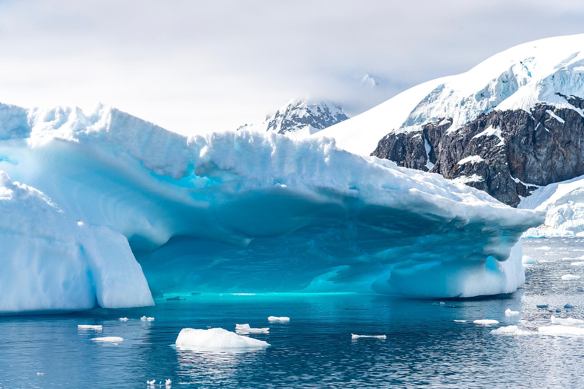 Antarctica: The White Continent – with Smithsonian Journeys