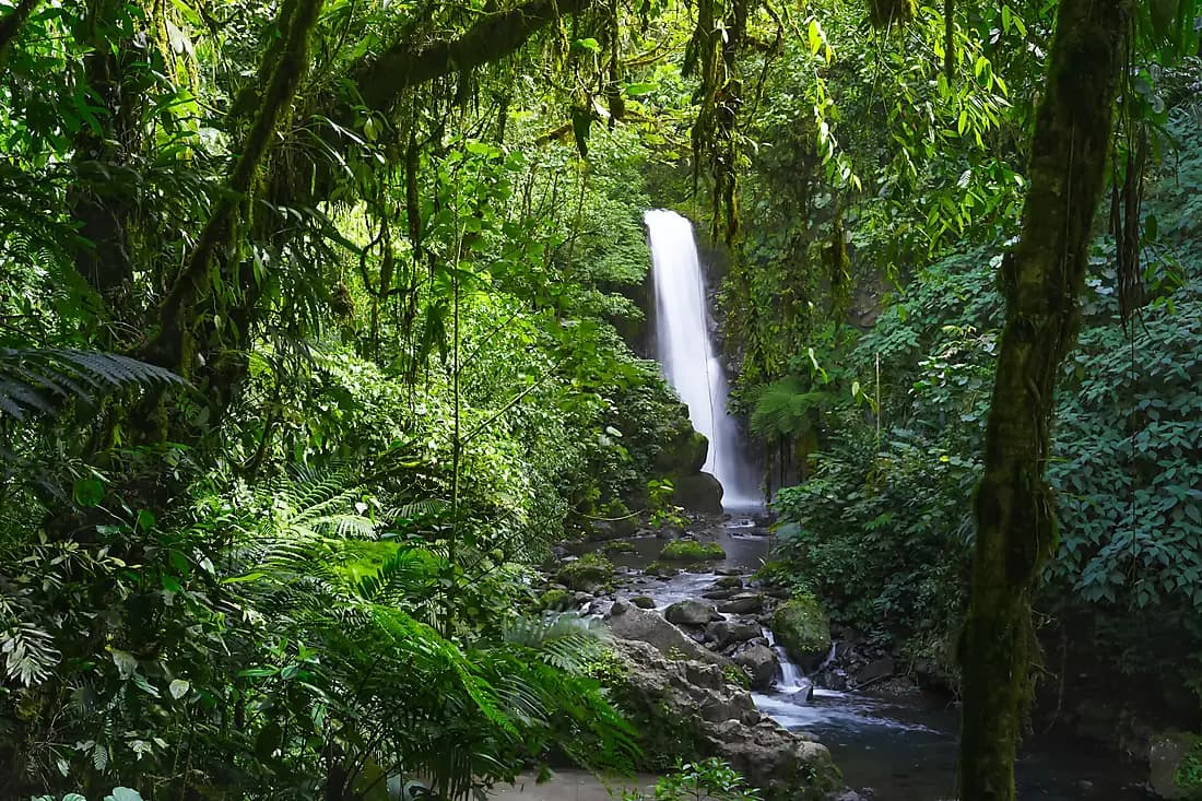 The La Paz Waterfall Gardens Nature Park
