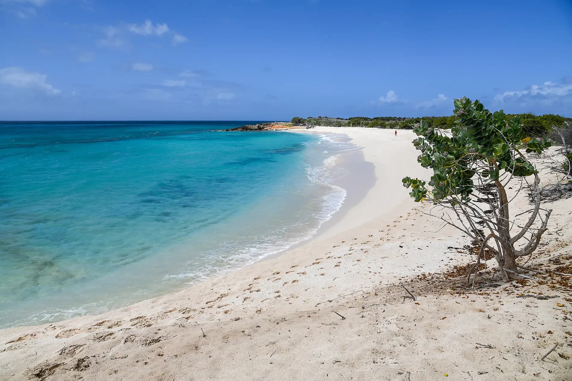 Reverie under sail in the heart of the Lesser Antilles