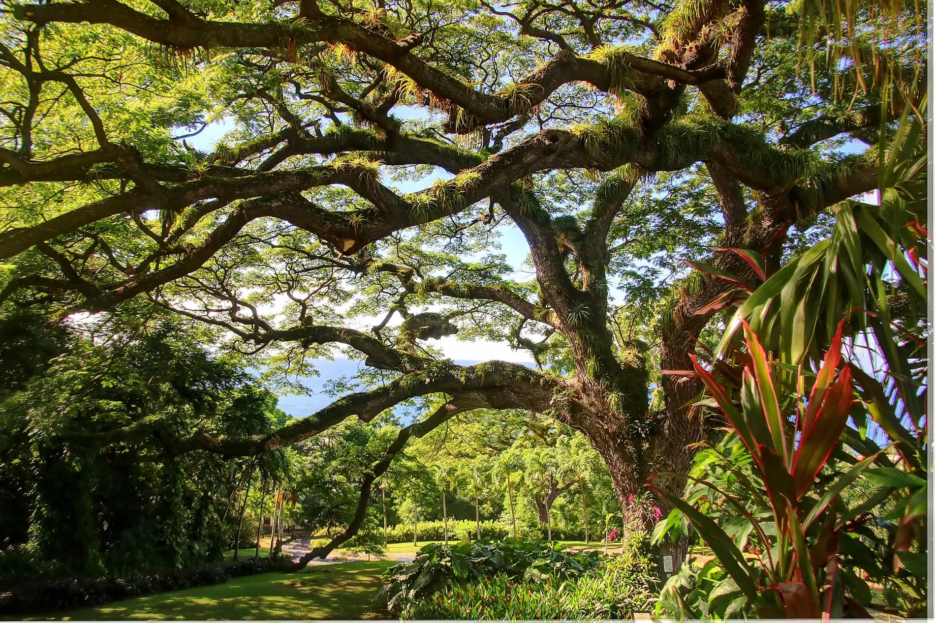 History and culture visiting Caribbean jewels