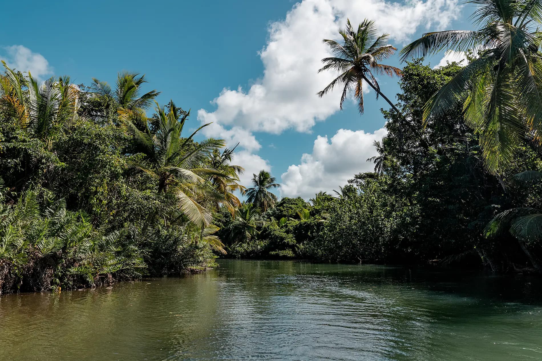 Gliding the Waters of the Windward Islands