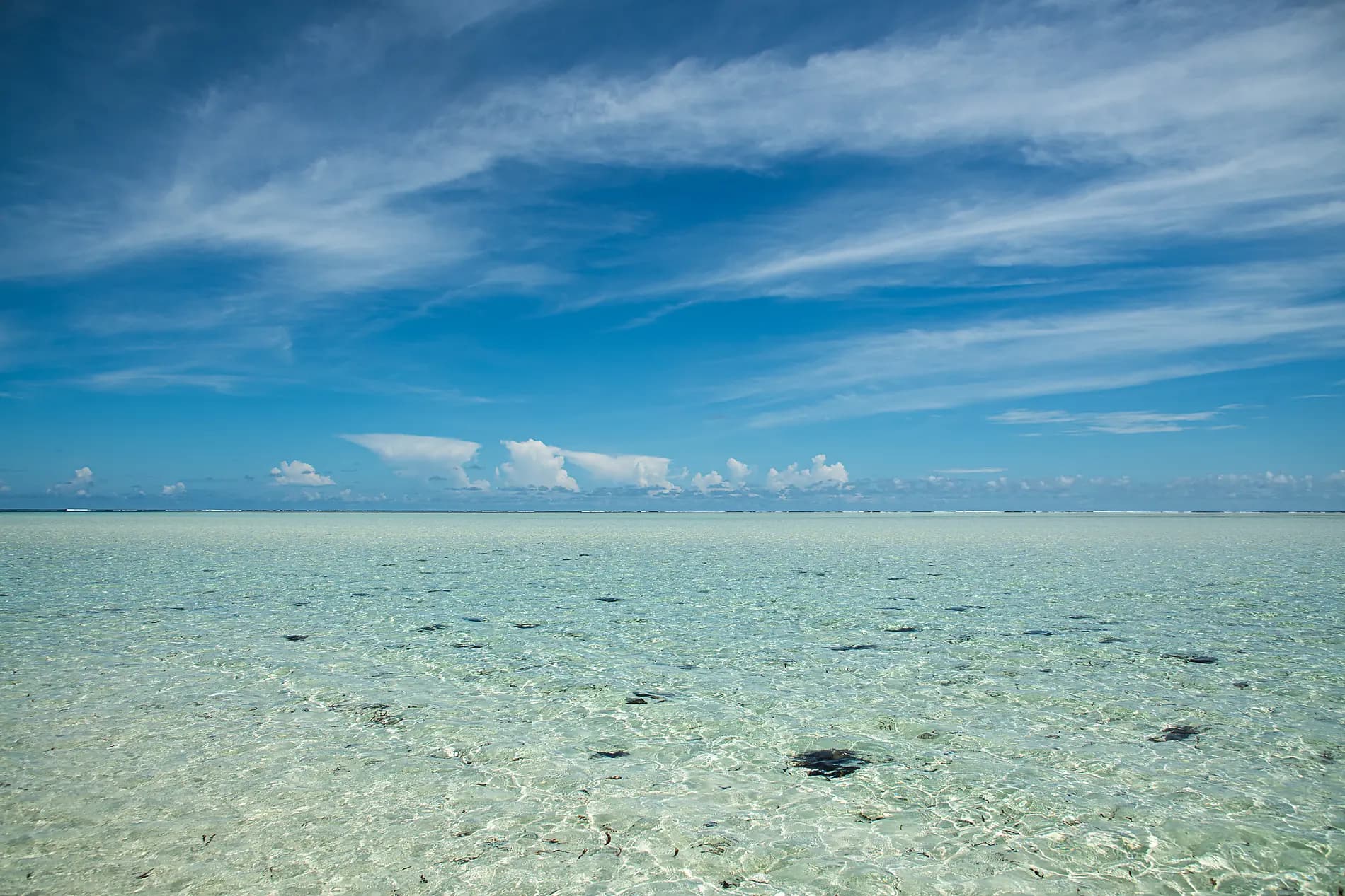 Madagascar and Seychelles: Natural Treasures of the Indian Ocean – with Smithsonian Journeys ©StudioPONANT-Sarah Congui