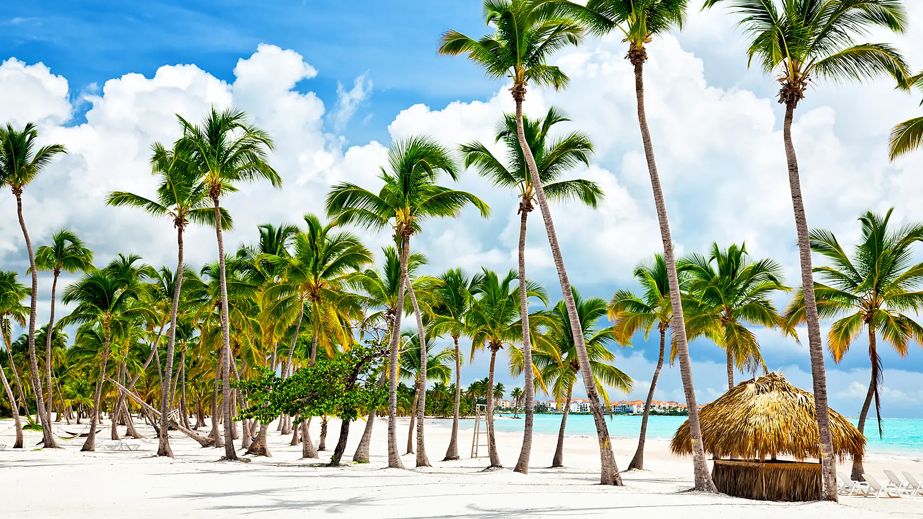 Secret treasures of the Lesser Antilles Secret treasures of the Lesser Antilles